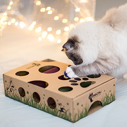 Hide treats around your home for your cat to find